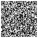 QR code with Babushka's Deli contacts