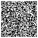 QR code with Bison Travel Service contacts
