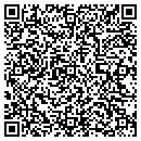 QR code with Cybersoft Inc contacts