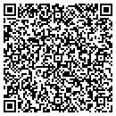 QR code with Clemons Tree Experts contacts
