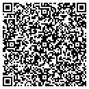 QR code with Pure Light Design contacts