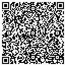 QR code with Puzzles By Dave contacts