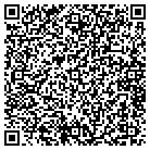 QR code with Public Investment Corp contacts