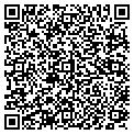 QR code with Levy Co contacts