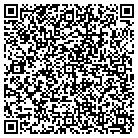 QR code with Pumpkin Patch Workshop contacts