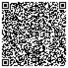 QR code with Pumpkin Hut Styling Salon contacts