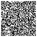 QR code with Carpenter Electric Inc contacts