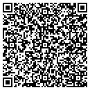 QR code with Carpet One Tolivers contacts