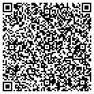 QR code with Blaise Loop Painting Co contacts