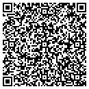 QR code with Carson Design Assoc contacts