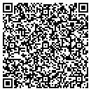 QR code with Primesouth Inc contacts