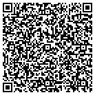 QR code with C D Punchout Service Inc contacts