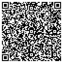 QR code with Carnes Surveying contacts