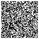 QR code with Protint LLC contacts