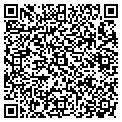 QR code with New Look contacts