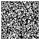 QR code with Career Transitions contacts