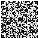 QR code with Critical Link Corp contacts
