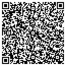 QR code with Cronin & Stanewich contacts