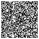 QR code with Balloon Gallery 2000 contacts