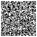 QR code with Pulse Opera House contacts
