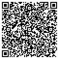 QR code with Delphi contacts