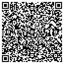 QR code with Pyrmont Repair Service contacts