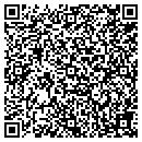 QR code with Professional Typing contacts