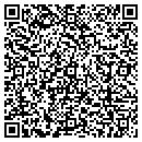 QR code with Brian's Tree Service contacts