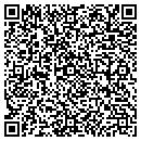 QR code with Public Schools contacts