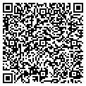 QR code with WSM Inc contacts