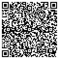 QR code with Sigeco contacts