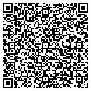 QR code with Critical Concepts contacts