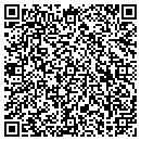 QR code with Programs At Work Inc contacts