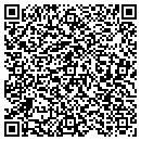 QR code with Baldwin Painting Inc contacts