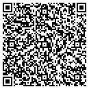 QR code with Pro Systems contacts