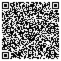 QR code with Lynn's contacts