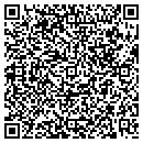 QR code with Cochise County Civil contacts