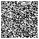 QR code with C & E Books & Comics contacts