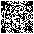 QR code with Collection Systems contacts