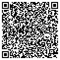 QR code with A Copy contacts