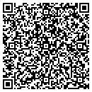 QR code with Connie Cfnp Townsend contacts