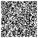 QR code with Pulice Construction contacts