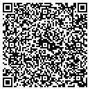 QR code with Precise Services contacts
