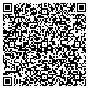 QR code with Carter Group Inc contacts