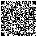 QR code with Public Programming contacts