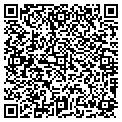 QR code with Pines contacts