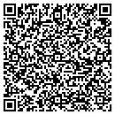 QR code with Publidollar Store contacts