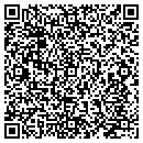 QR code with Premier Surface contacts