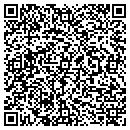 QR code with Cochran Chiropractic contacts