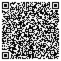 QR code with Pitaya contacts